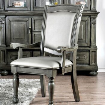 Alpena Arm Chair Set of 2 BY Furniture of America