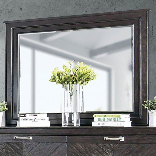 Argyros Mirror CM7315M By Furniture of America - Image 2