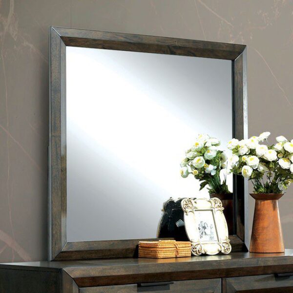 Nikomedes Mirror CM7557M By Furniture of America - Image 2