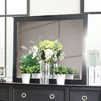 Arabelle Mirror CM7481M By Furniture of America