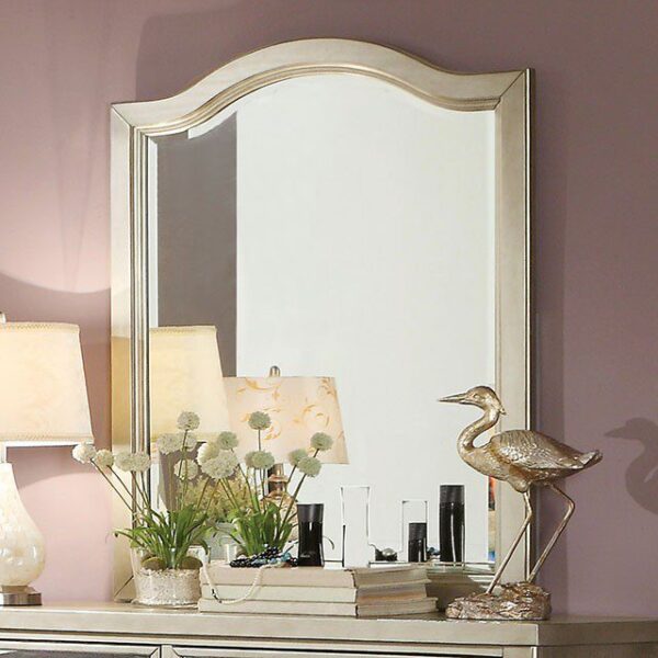 Adeline Mirror CM7282M By Furniture of America - Image 2