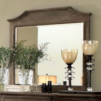 Halliday Mirror CM7281M By Furniture of America