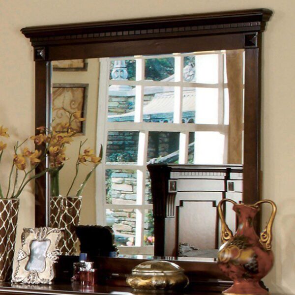 Fortrose Mirror CM7280M By Furniture of America - Image 2