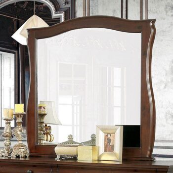 Brunswick Mirror CM7503M By Furniture of America