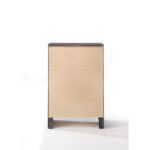 Ireland Chest 22707 by ACME - Image 5