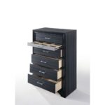 Naima Chest 25906 by ACME - Image 2