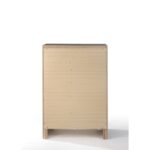 Naima Chest 25906 by ACME - Image 5
