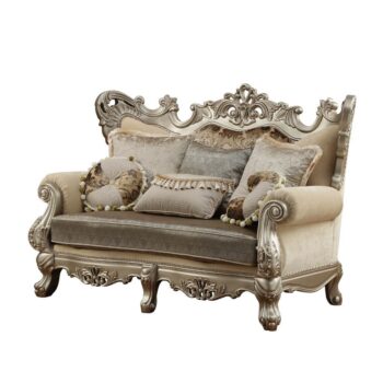 Fabric & Champagne Finish Ranita Loveseat W/6 Pillows 51041 by ACME