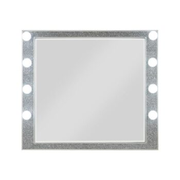 Sliverfluff Mirror With Light by ACME