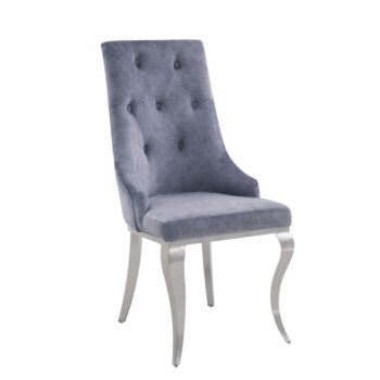 Dekel Gray Side Chair Set of 2 by ACME