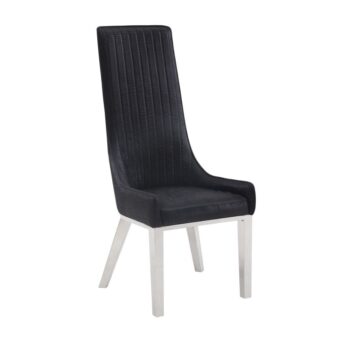 Gianna Black Dining Chair Set of 2 by ACME