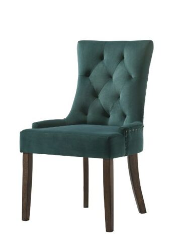 Farren Green Side Chair Set of 2 by ACME