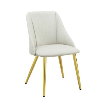 Gaines Side Chair Set of 2 by ACME