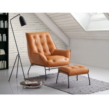 Accent Chair & Ottoman