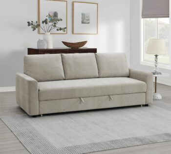 Sofa With Sleeper