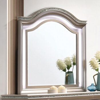 ALLIE MIRROR CM7901RG-M BY Furniture of America.