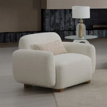 Darius Beige Boucle Arm Chair with Pillow By ACME