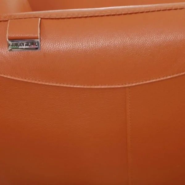 C74 Chair in Genuine Leather By Gu Furniture - Image 4