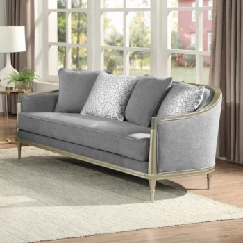 Fernando Loveseat with 4 Pillows in Champagne Finish By ACME