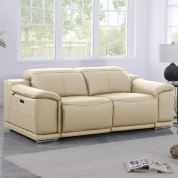 9762 DivanItalia Top Grain Italian Leather Loveseat By GU Furniture