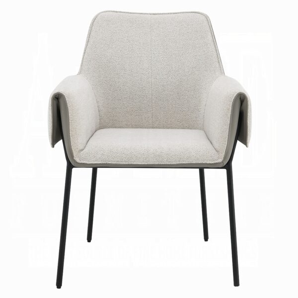 Jirina Arm Chair in Beige Chenille Set of 2 By ACME - Image 2