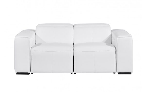 1224 DivanItalia Top Grain Italian Leather Loveseat By GU Furniture - Image 3