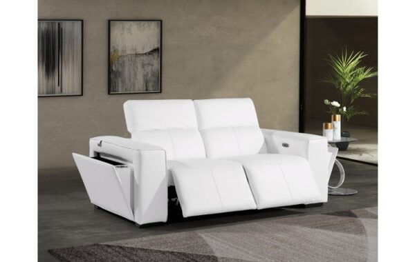 1224 DivanItalia Top Grain Italian Leather Loveseat By GU Furniture - Image 2