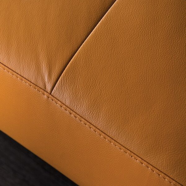 Vadso Contemporary Tangerine Leather Match Sectional Sofa with Left Chaise | FM69005LB-SECT-L