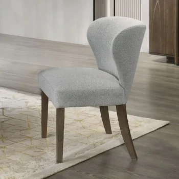 Dillon Gray Chenille Dining Side Chair Set of 2 By ACME