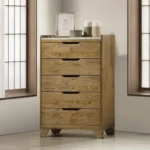 Garcia Chest in Brown Finish BD04866 By ACME