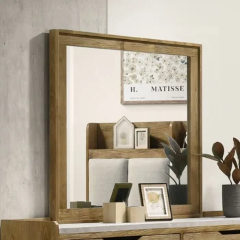 Garcia Mirror in Brown Finish BD04864 By ACME