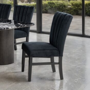 Selsey Side Chair (2Pc Set) – Contemporary Comfort in Timeless Black