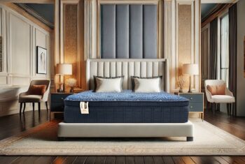 Del Rey Plush Foundation By Maxim Mattress