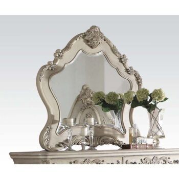 Antique White Finish Ragenardus Mirror 27014 by ACME |