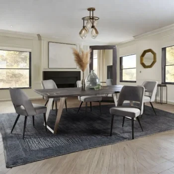 Modern Contemporary Dining Chair