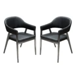 Dining Room Chair