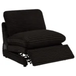 Modern Recliner