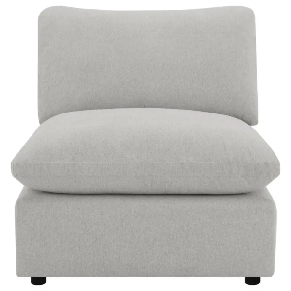 Modern Recliner