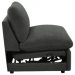 Modern Recliner