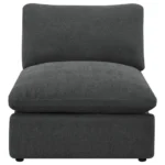 Modern Recliner