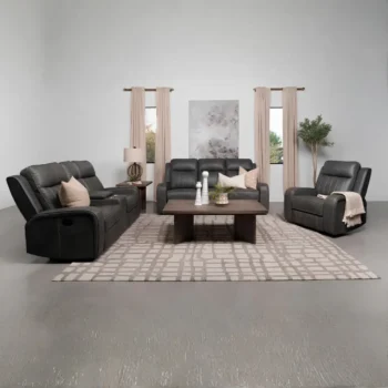 Gray Leather Sofa Set