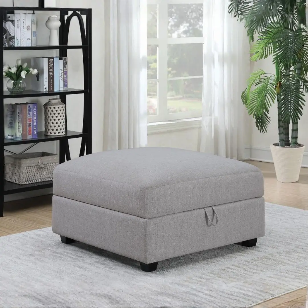 Cambria Gray Storage Ottoman By Coaster Furniture | Mobilia Cleopatra 3 Gray Storage Ottoman