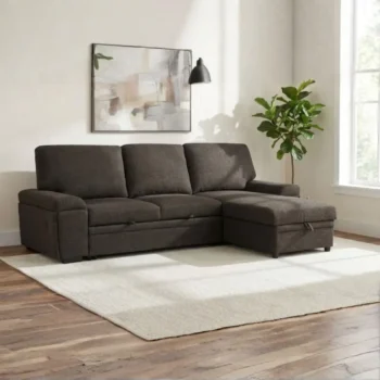 Sectional Sleeper Sofa with Storage