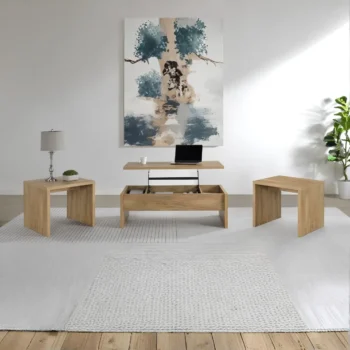Wooden Coffee Table Set