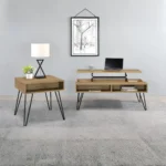 Storage End Table