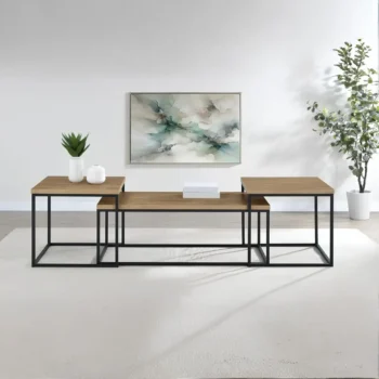 Rustic Coffee Table Set