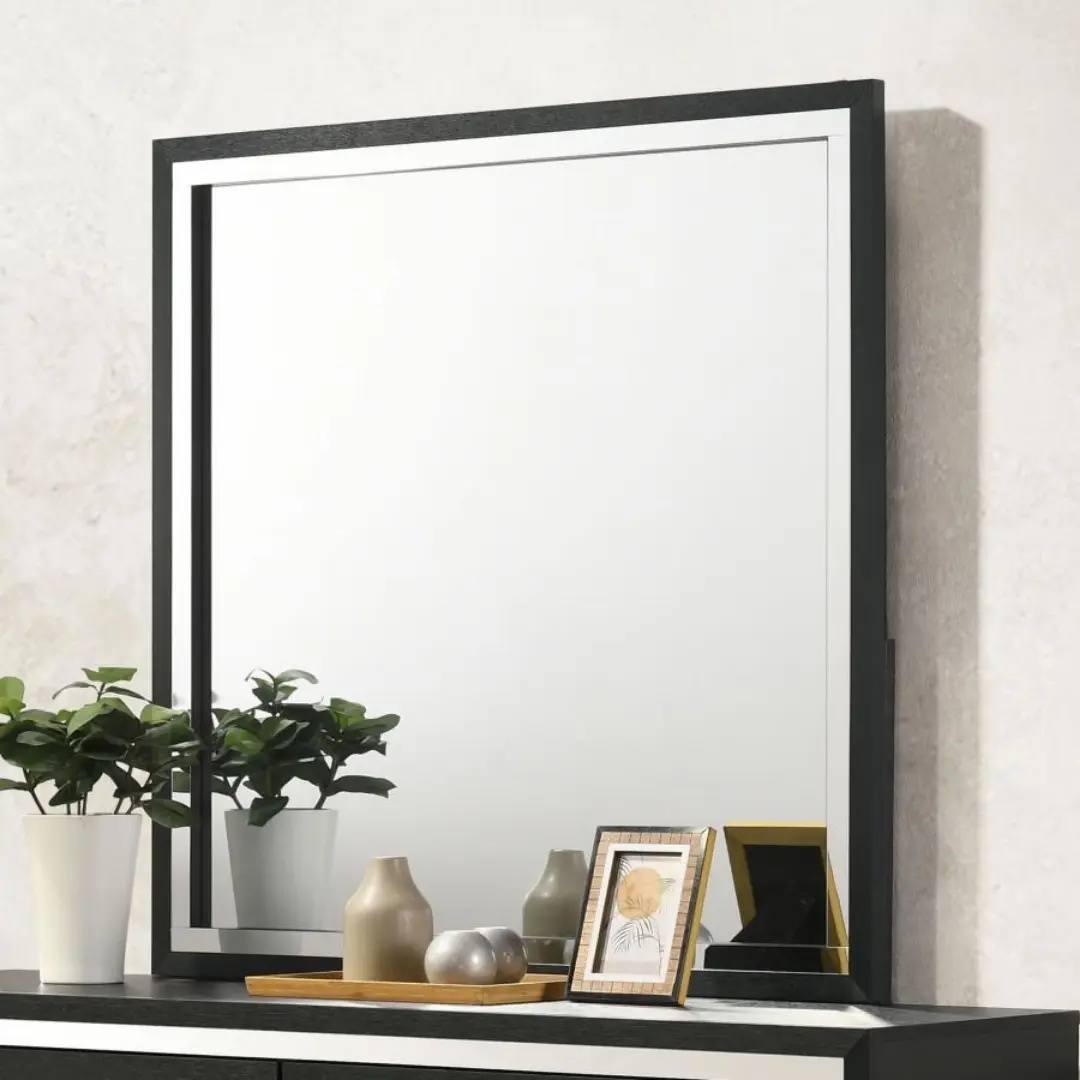 Lucia Square Dresser Mirror By Coaster Furniture | Mobilia Cleopatra 3 Square Dresser Mirror