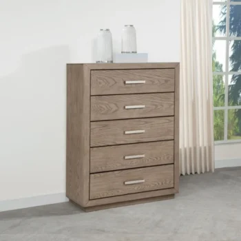 5 Drawer Chest