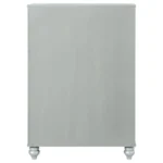 Gunnison 5 Drawer Silver Metallic Chest By Coaster Furniture – Bedroom Chest of Drawers – View 5