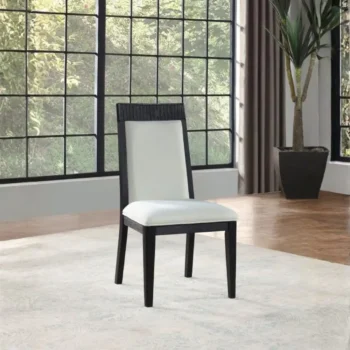 Dining Side Chair Set of 2